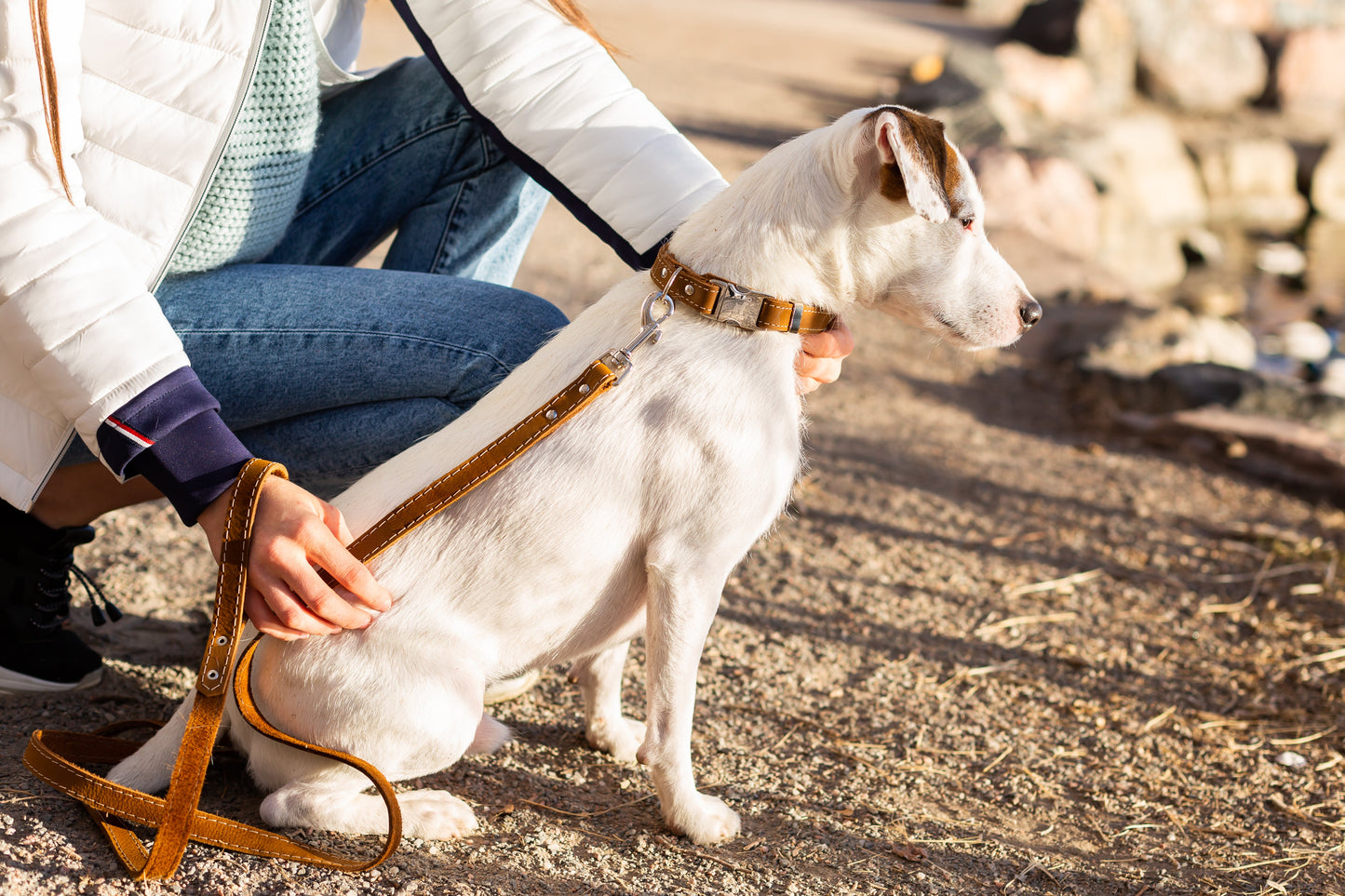Pro Line Quick-Release Earth Brown Leather Dog Collar with Metal Buckle