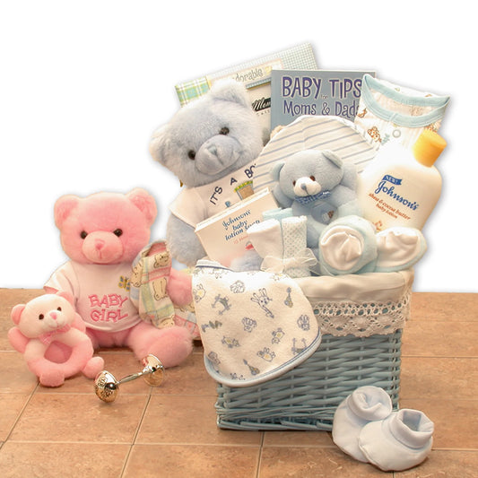 Sweet Baby of Mine New Baby Basket - Blue