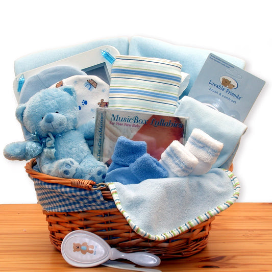 Simply The Baby Basics New Baby Gift Basket- Blue