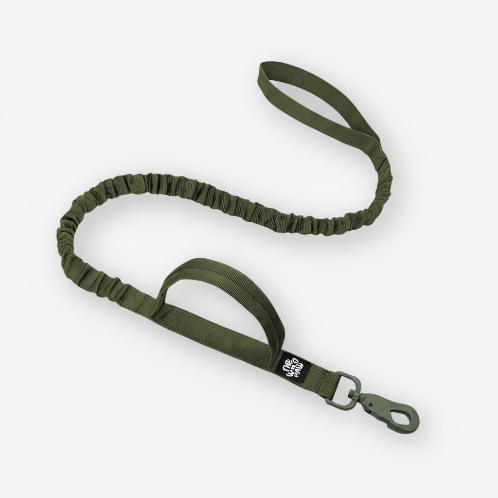 Rover Tactical Leash