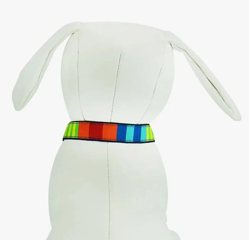 Party Stripes Dog Collar
