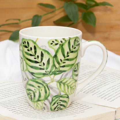 Set Of Four Tropical Season Series Ceramic Mugs