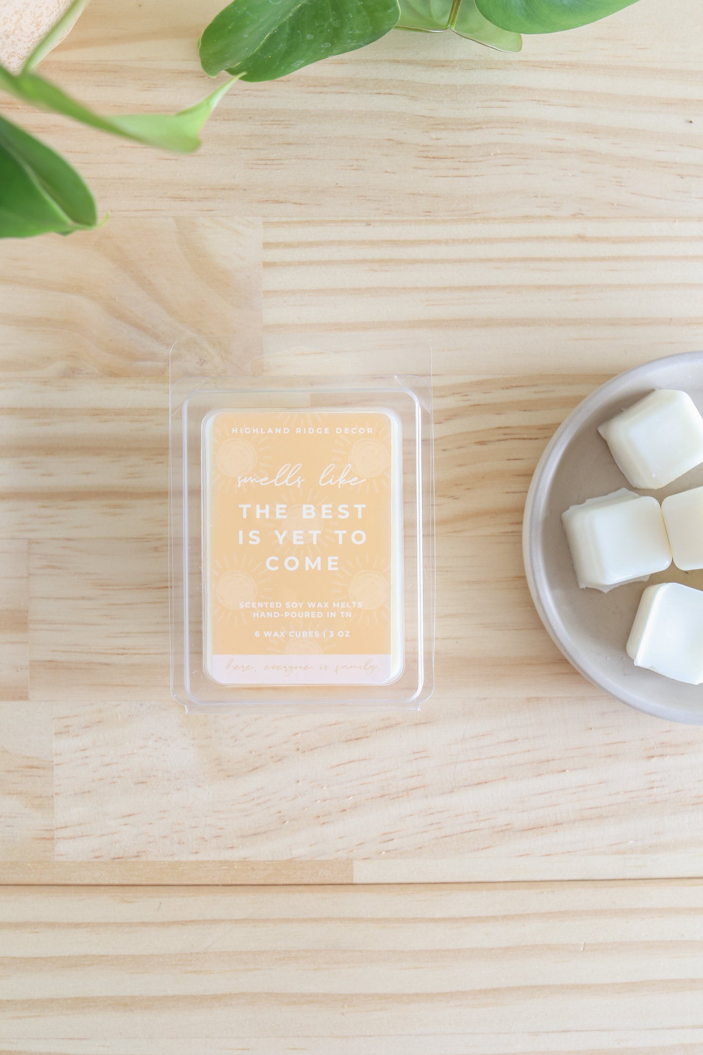 The Best is Yet to Come Wax Melt