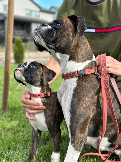 Celtic Sport Leather Collar and Leash Set