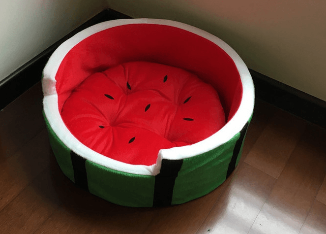 Juicy Oasis Pet Bed by Dog Hugs Cat