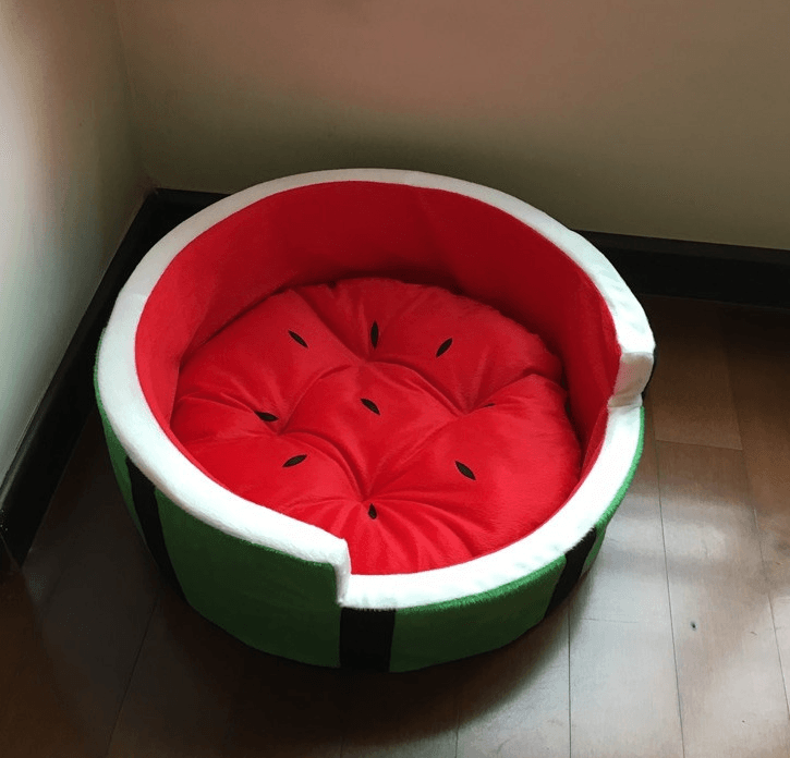 Juicy Oasis Pet Bed by Dog Hugs Cat