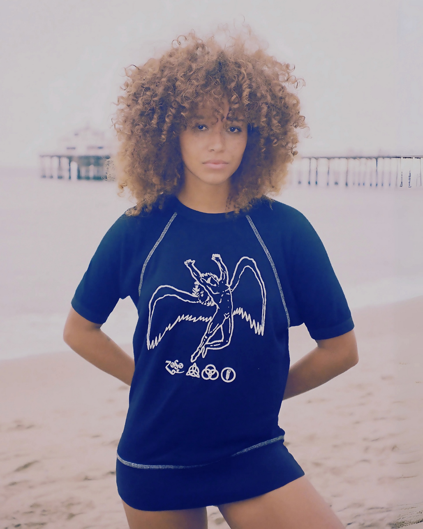 Led Zeppelin Short Sleeve Icarus Raglan