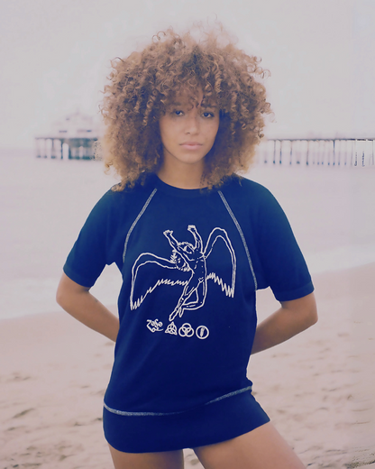 Led Zeppelin Short Sleeve Icarus Raglan