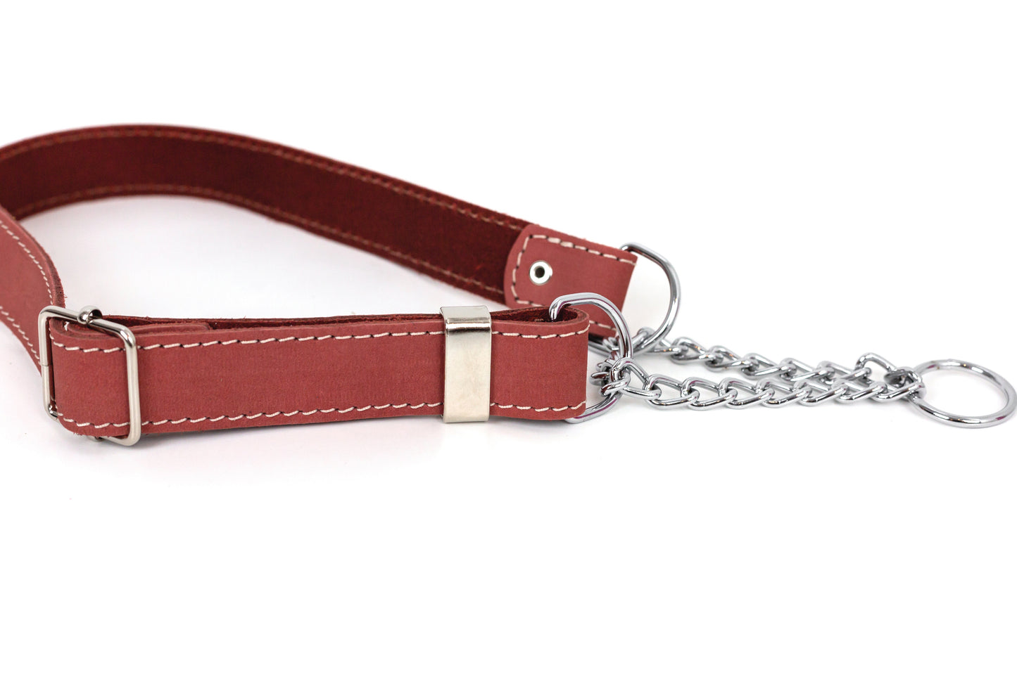Martingale Coral Reef Leather Dog Collar
