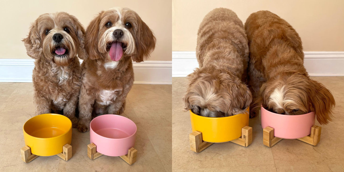 Ceramic Bowl with Bamboo Stand for Dogs & Cats