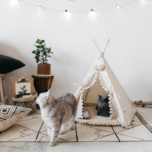 Cozy Haven Pet Teepee: A Stylish Retreat For Your Furry Friend by Dog Hugs Cat