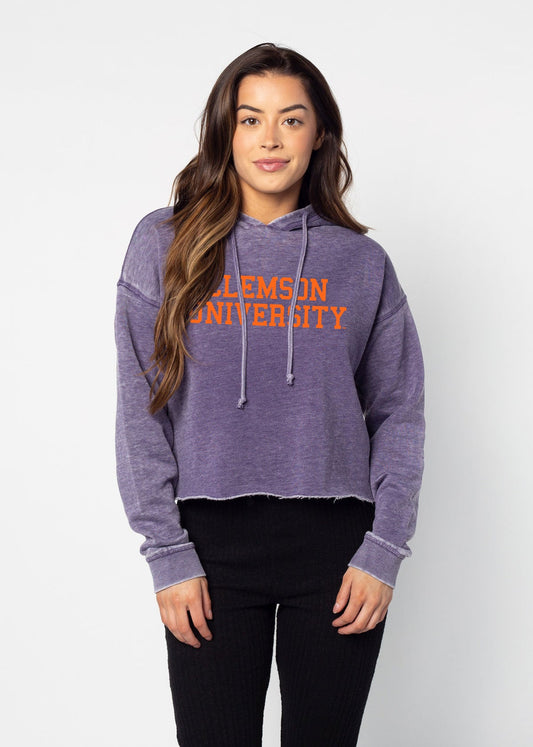 Clemson Tigers Campus Hoodie by chicka-d