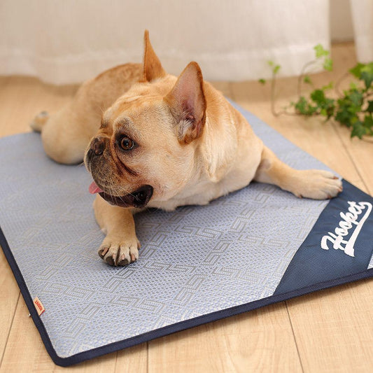 Coolpaws Breathable Pet Cooling Mat by Dog Hugs Cat