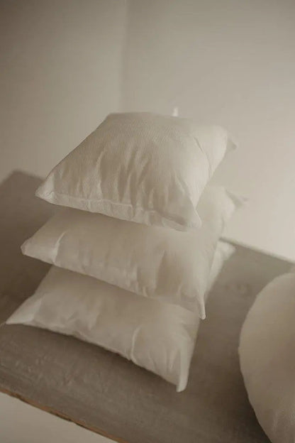 4x6 Hypoallergenic Polyester Pillow Insert