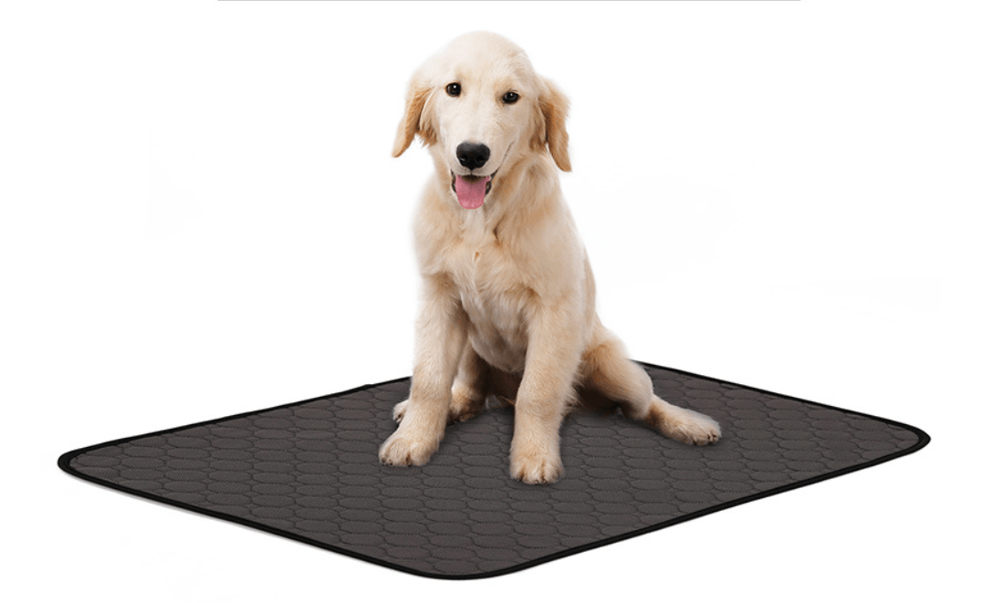 Pet Comfort Care Absorbent Diaper Mat by Dog Hugs Cat