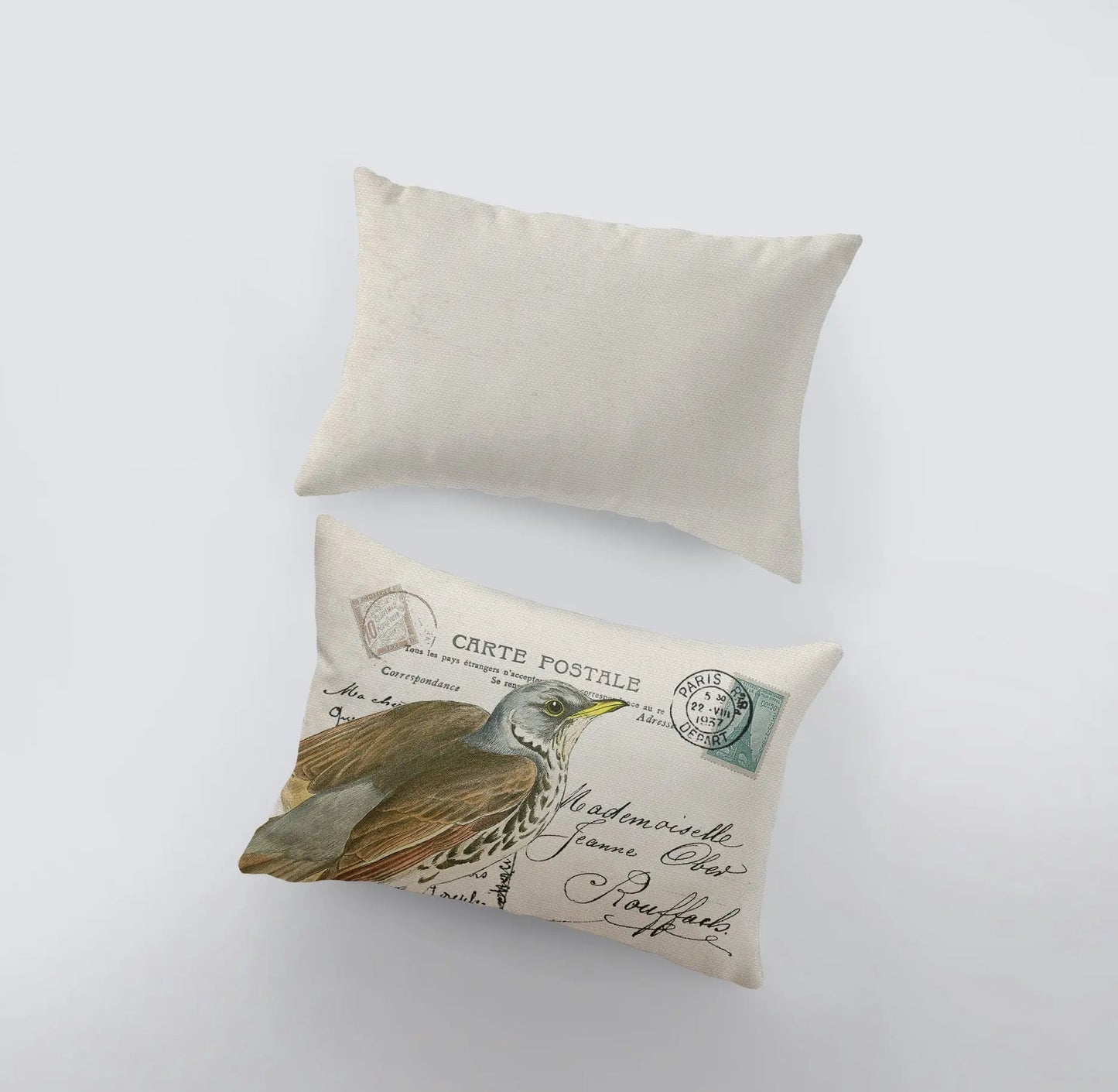 Brown Bird Throw Pillow