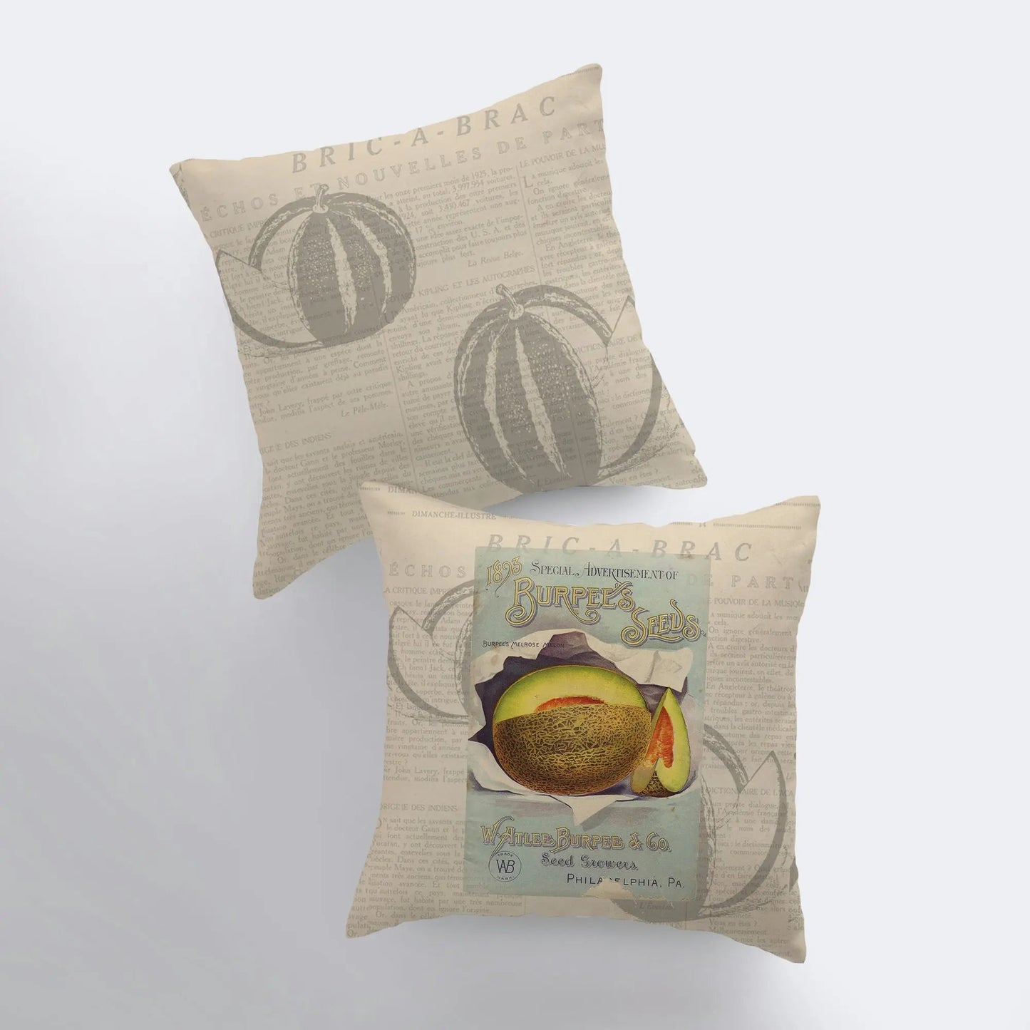 Cantaloupe Throw Pillow