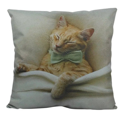 Cat Paw Throw Pillow