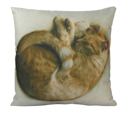 Cat Sleeping Curled Up Throw Pillow