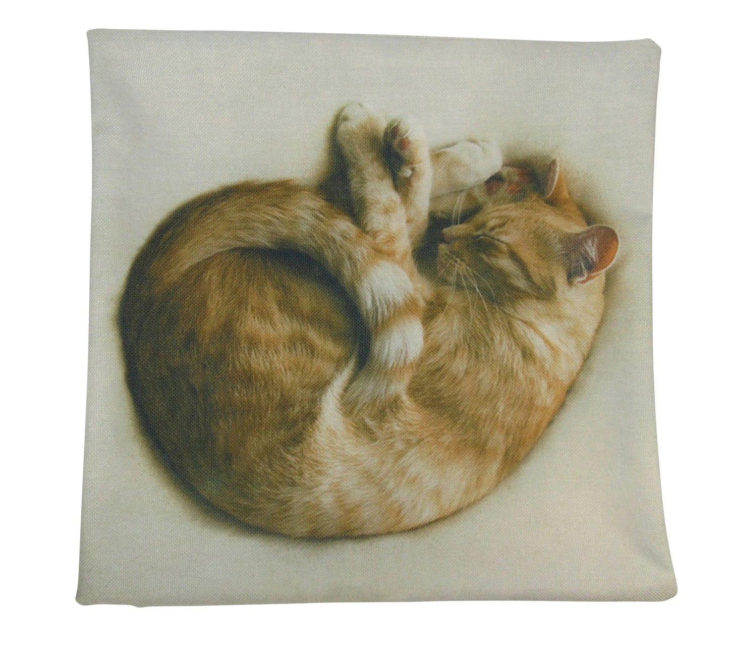 Cat Sleeping Curled Up Throw Pillow