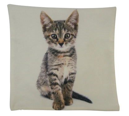 Calico Cat Throw Pillow