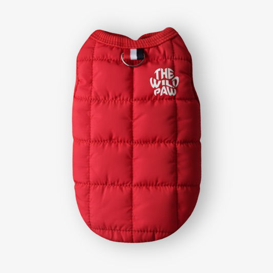 Cloudshell Vest