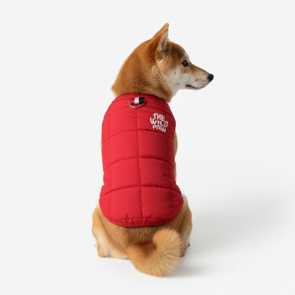 Cloudshell Vest