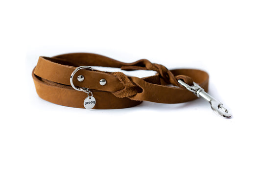 Pro Line Leather Braided Dog Leash
