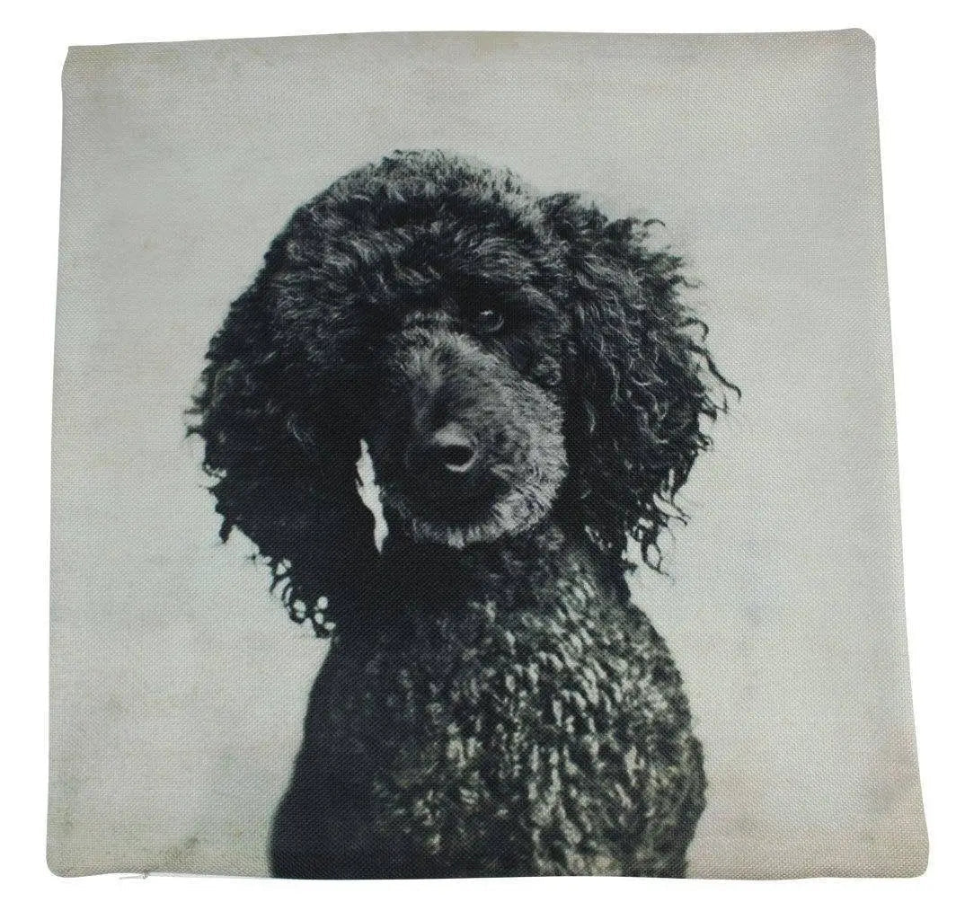 Black Poodle Throw Pillow