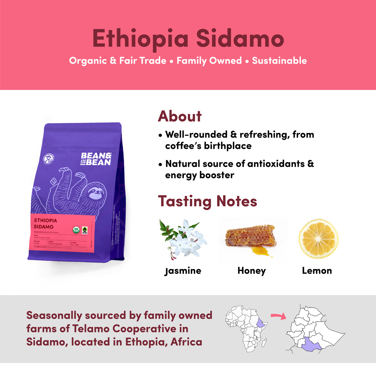 Ethiopia Sidamo