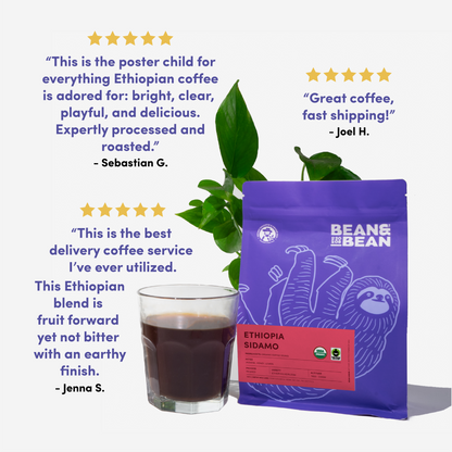 Ethiopia Sidamo