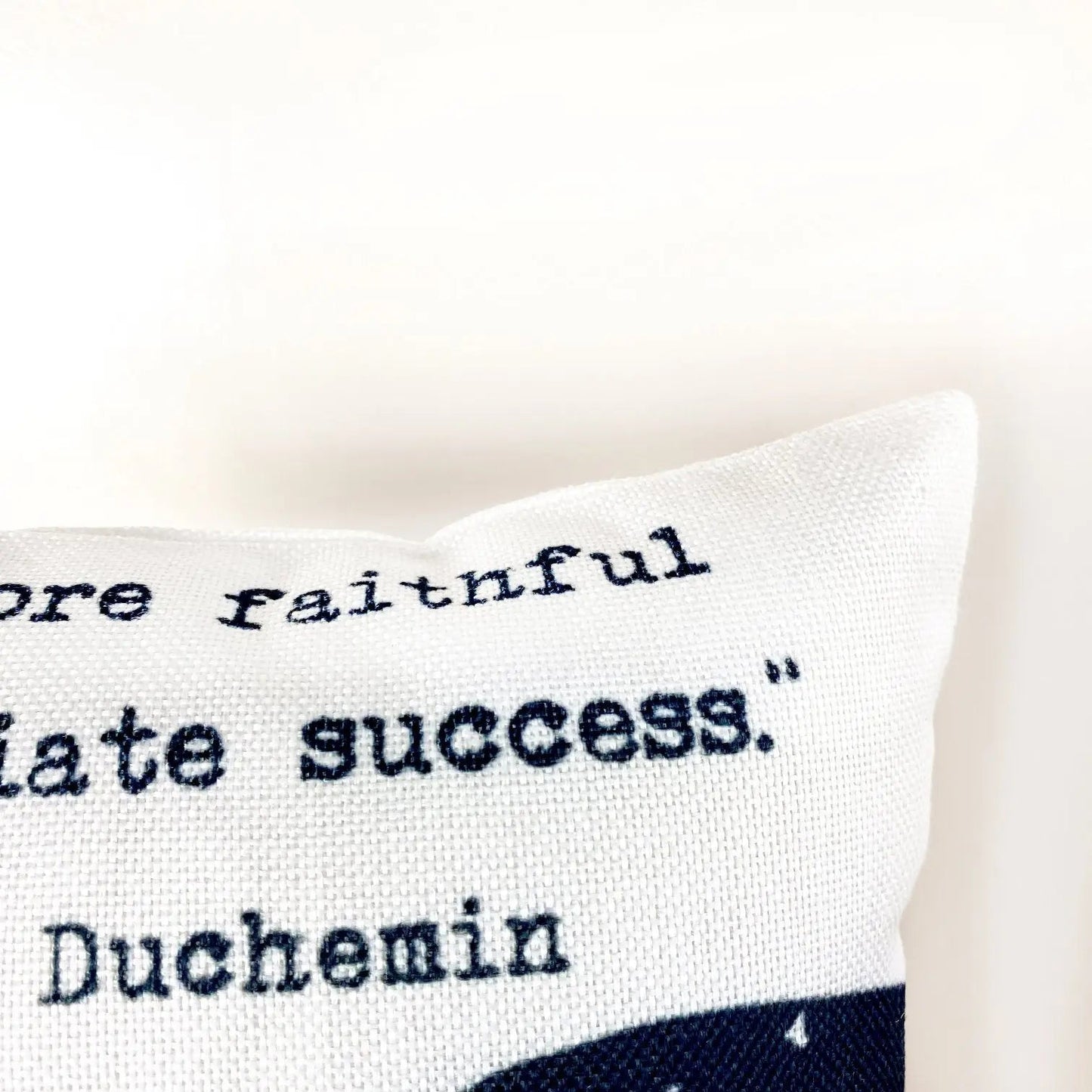 Failure is a Teacher Throw Pillow