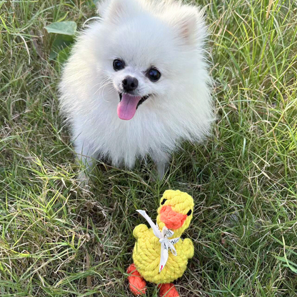 Sunny the Yellow Duck Rope Toy by Monli Pets