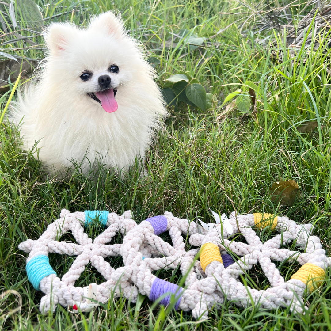 Colorful Steering Wheel Series Cotton Rope Woven Pet Toy - Front View. Durable and fun, perfect for chewing and playing.