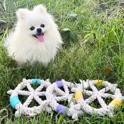 Colorful Steering Wheel Series Cotton Rope Woven Pet Toy - Front View. Durable and fun, perfect for chewing and playing.