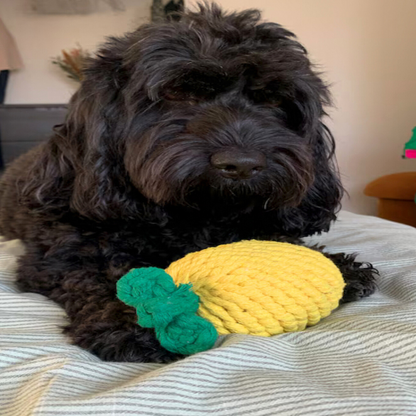 A pineapple-shaped pet toy made from durable cotton rope, perfect for chewing and interactive play, promoting dental health and keeping pets entertained.