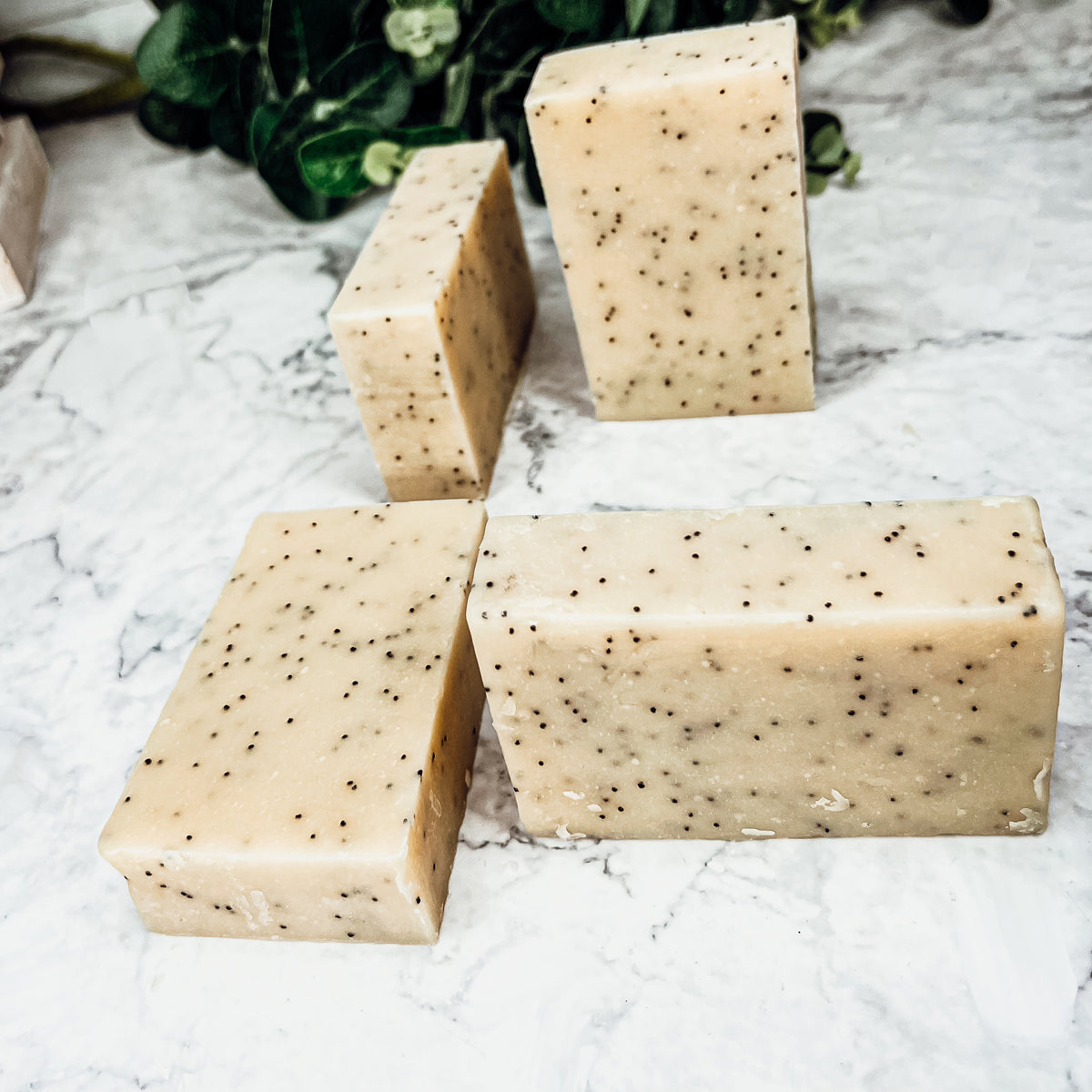 Poppy Seed Exfoliant-Olive-Sunflower Soap