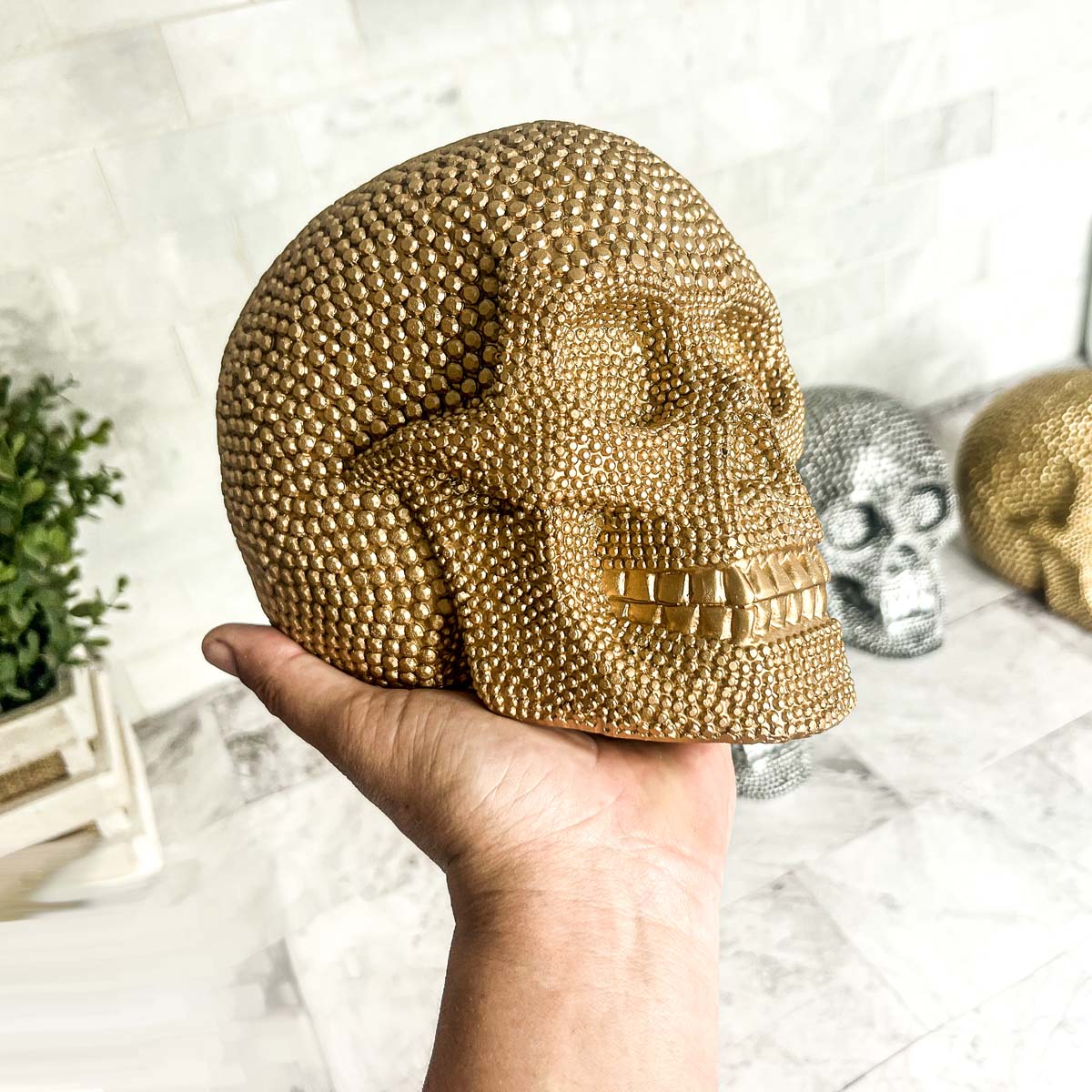 Resin Skull by Gia Roma