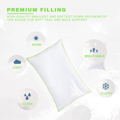 Kasentex Silky Green Piped Edge Goose Down Feather Pillow Set, White