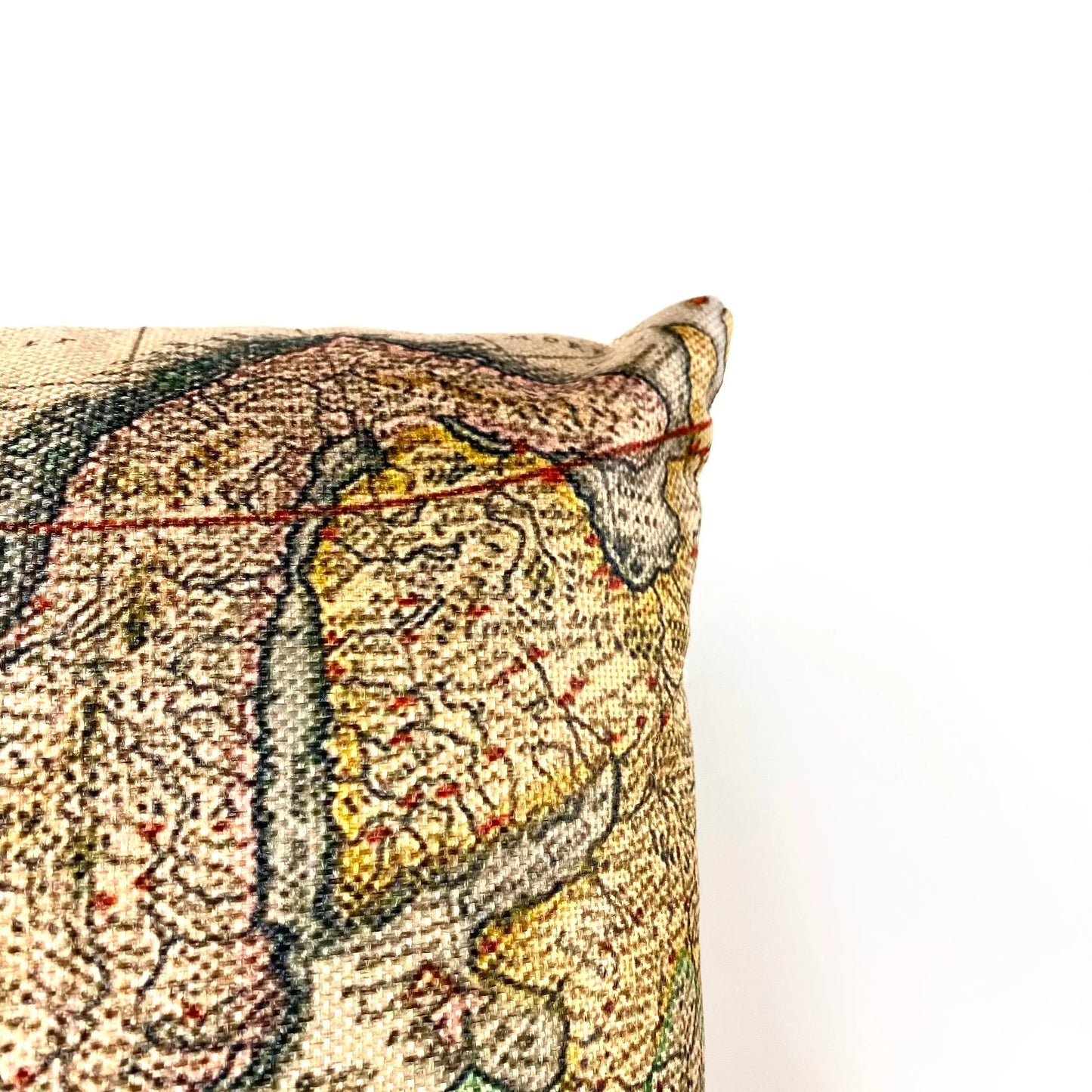 Map of Europe Throw Pillow