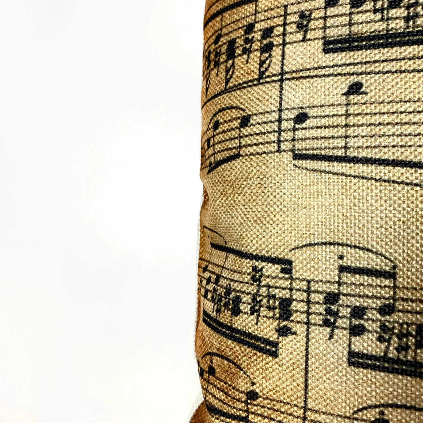 Music Notes Throw Pillow