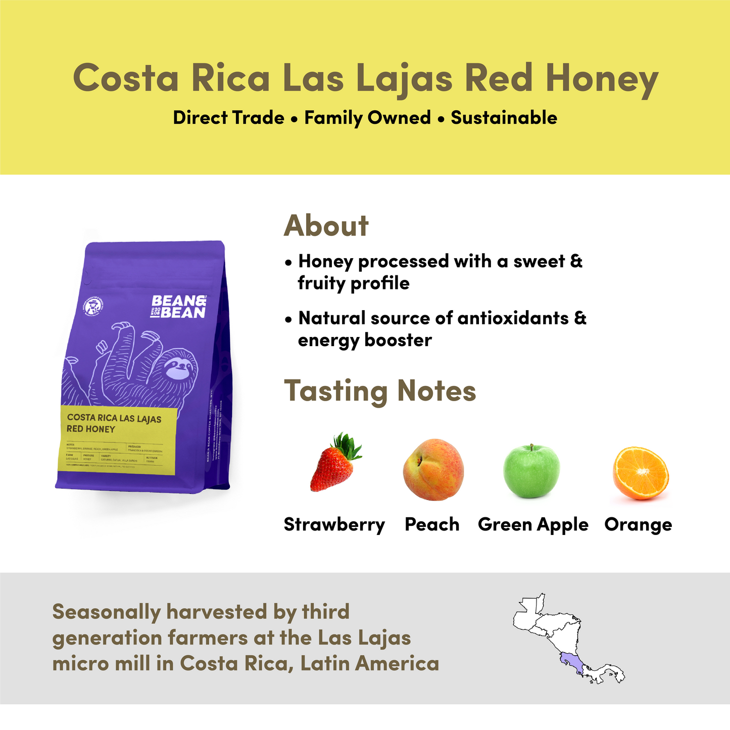 Costa Rica Las Lajas Red Honey Coffee