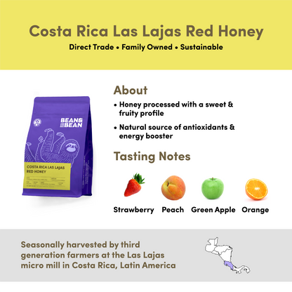 Costa Rica Honey Duo