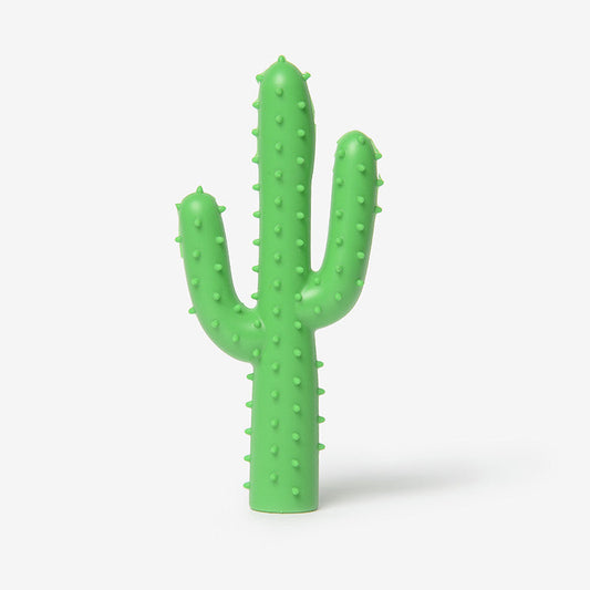 Silly Succulent Cactus Dog Toy