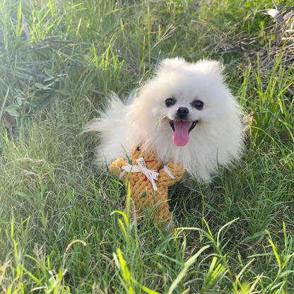 Handwoven gingerbread man pet toy made from durable cotton rope. Ideal for dogs and cats to chew, play, and enjoy. A festive and sturdy addition to your pet's toy collection.