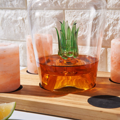 Tequila Pink Himalayan Salt Decanter Set