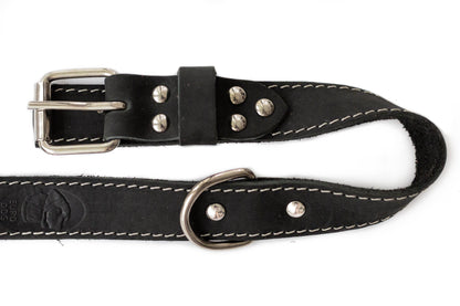 Pro Line Hunting Leather Collar and Leash Set