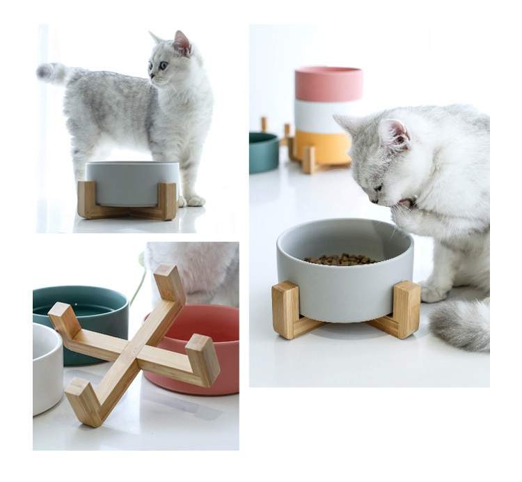 Ceramic Bowl with Bamboo Stand for Dogs & Cats