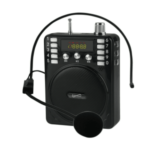 Bluetooth Portable PA System Black