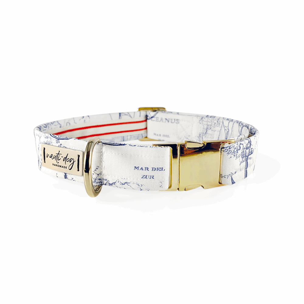 Carta Marina Light Vintage Nautical Toile Buckle & Martingale Dog Collar by Nauti-dog Handmade